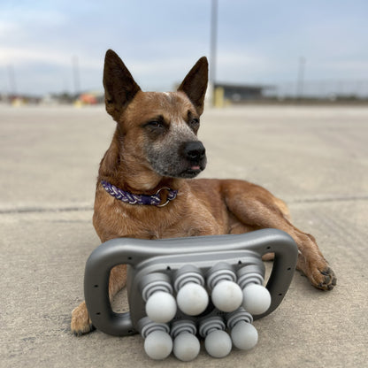 8 Heads Pup Massage Gun